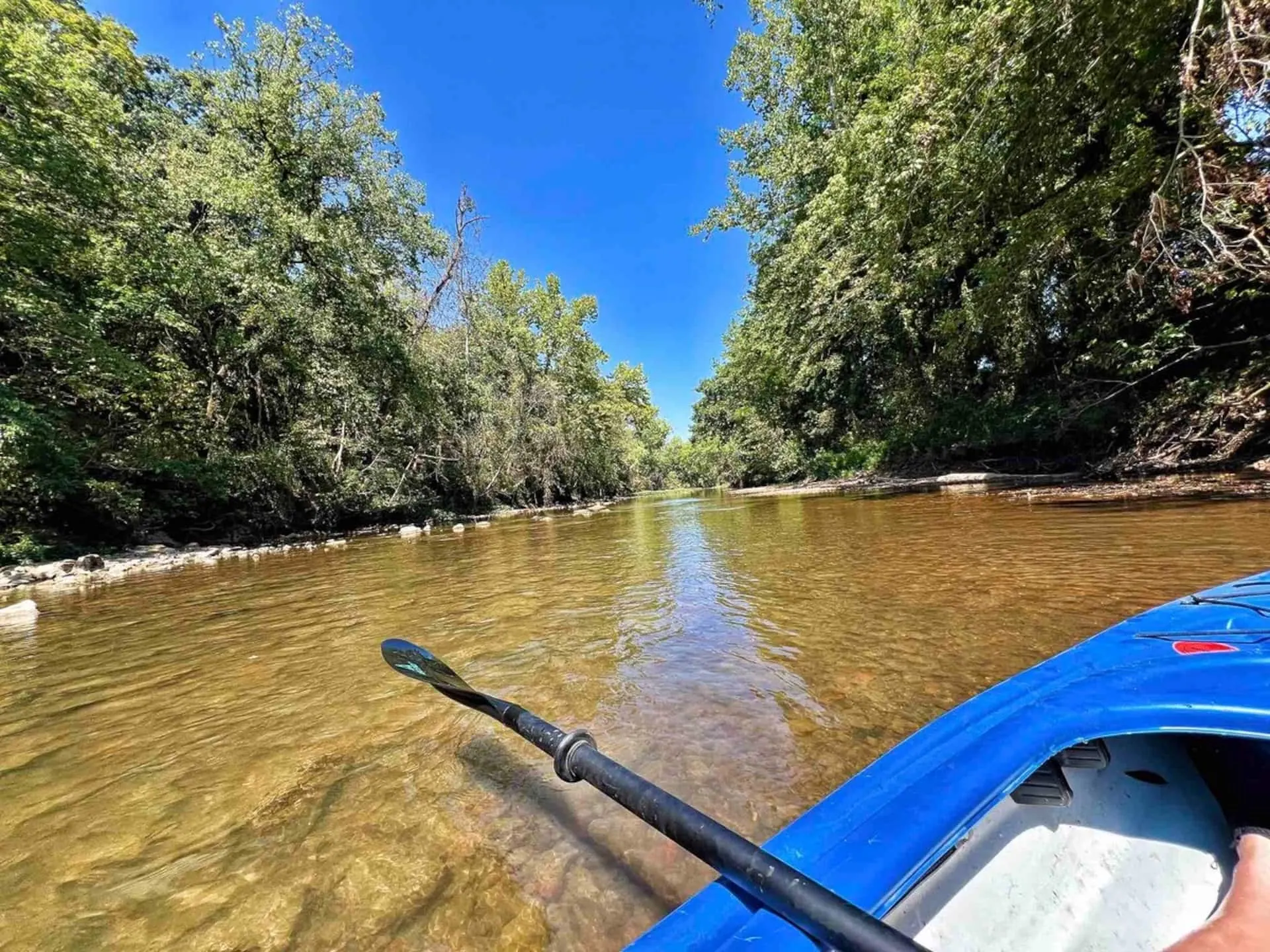 Paddling a kayak down the clear, tree-lined Sac River from the bow of the boat