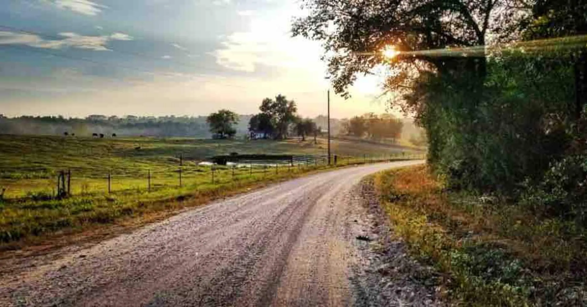 Sunrise breaking through the treeline over the gravel road and cattle pasture on the south side of the farm